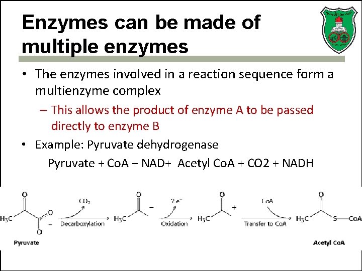 Enzymes can be made of multiple enzymes • The enzymes involved in a reaction