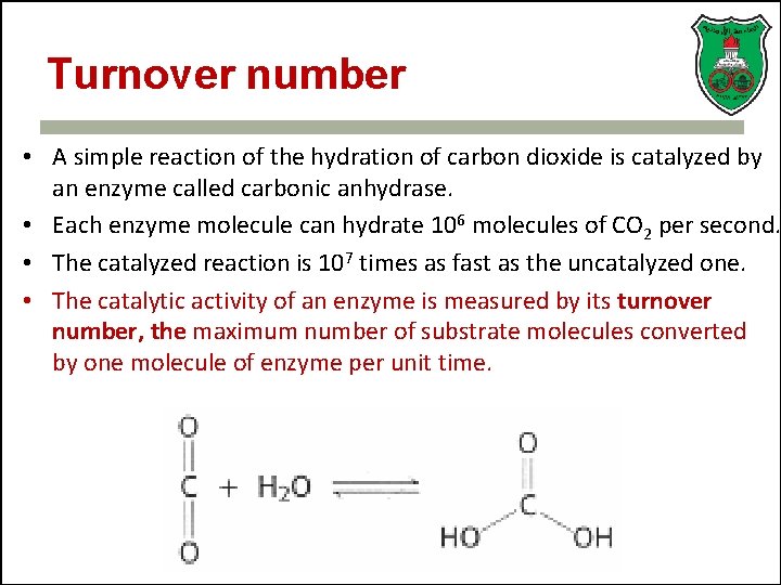 Turnover number • A simple reaction of the hydration of carbon dioxide is catalyzed