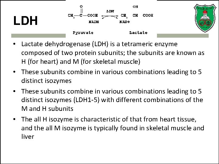 LDH • Lactate dehydrogenase (LDH) is a tetrameric enzyme composed of two protein subunits;