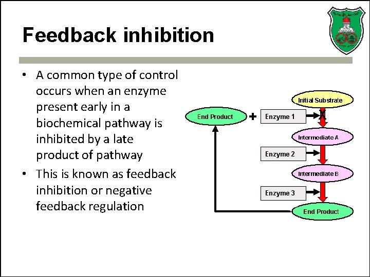 Feedback inhibition • A common type of control occurs when an enzyme present early
