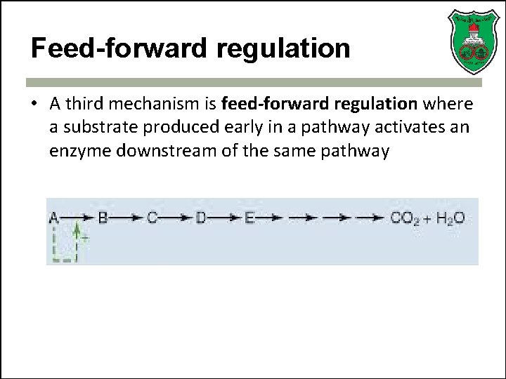 Feed-forward regulation • A third mechanism is feed-forward regulation where a substrate produced early