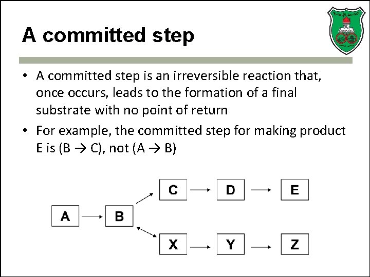 A committed step • A committed step is an irreversible reaction that, once occurs,