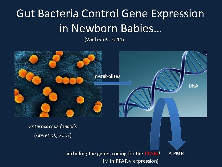 Gut Bacteria Control Gene Expression in Newborn Babies… (Vael et al. , 2011) metabolites