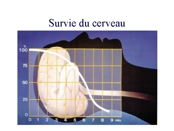 Survie du cerveau 