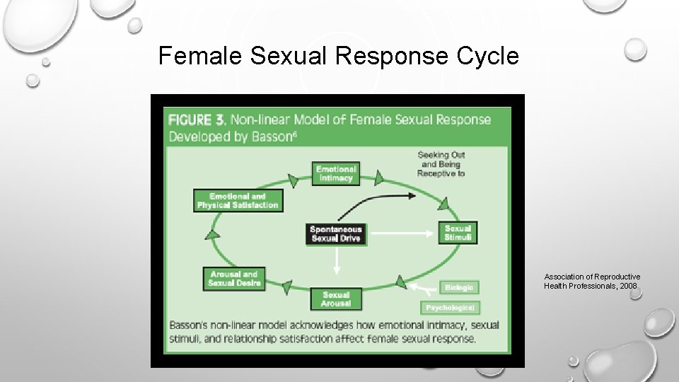 Female Sexual Response Cycle Association of Reproductive Health Professionals, 2008 