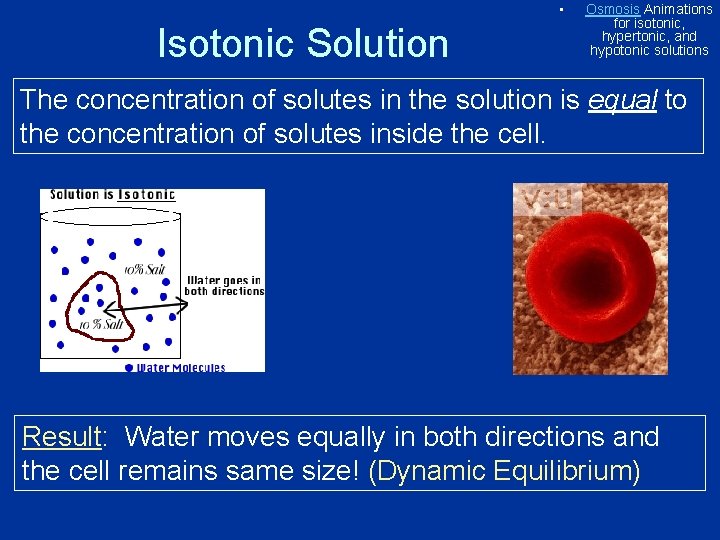 • Isotonic Solution Osmosis Animations for isotonic, hypertonic, and hypotonic solutions The concentration • Isotonic Solution Osmosis Animations for isotonic, hypertonic, and hypotonic solutions The concentration
