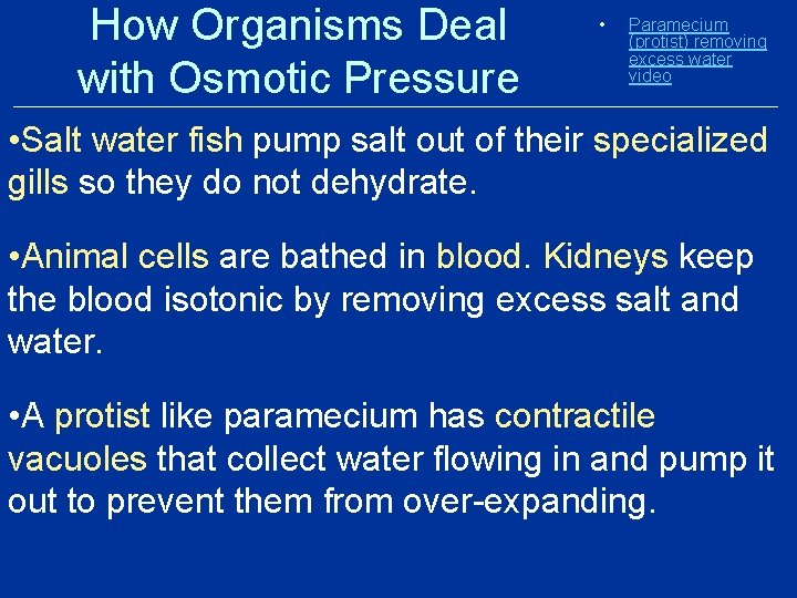 How Organisms Deal with Osmotic Pressure • Paramecium (protist) removing excess water video • How Organisms Deal with Osmotic Pressure • Paramecium (protist) removing excess water video •