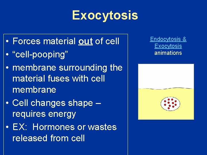 Exocytosis • Forces material out of cell • “cell-pooping” • membrane surrounding the material Exocytosis • Forces material out of cell • “cell-pooping” • membrane surrounding the material