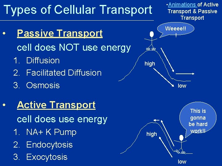 Types of Cellular Transport • Animations of Active Transport & Passive Transport • Weeee!! Types of Cellular Transport • Animations of Active Transport & Passive Transport • Weeee!!