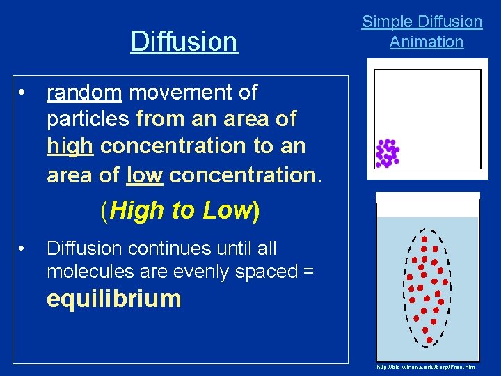 Diffusion Simple Diffusion Animation • random movement of particles from an area of high Diffusion Simple Diffusion Animation • random movement of particles from an area of high