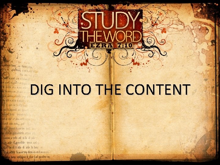 DIG INTO THE CONTENT 