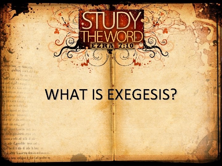 WHAT IS EXEGESIS? 