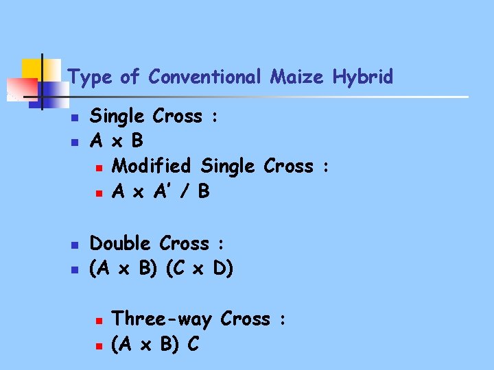Type of Conventional Maize Hybrid n n Single Cross : A x B n