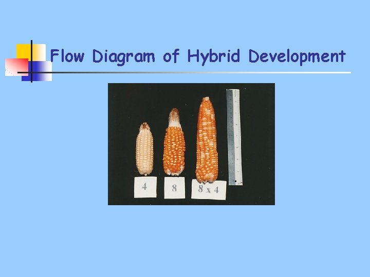 Flow Diagram of Hybrid Development 