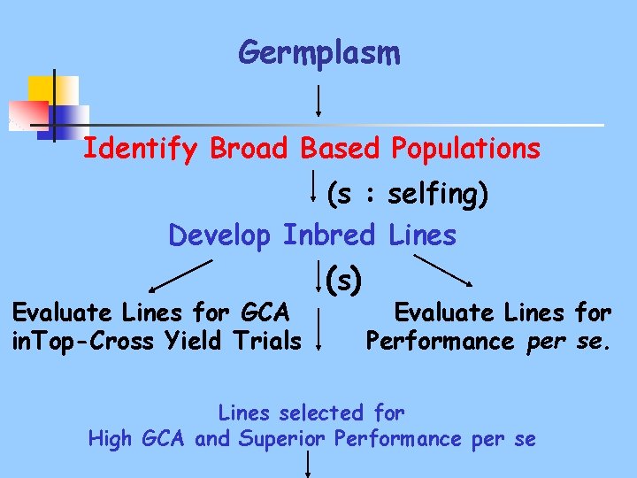 Germplasm Identify Broad Based Populations (s : selfing) Develop Inbred Lines Evaluate Lines for