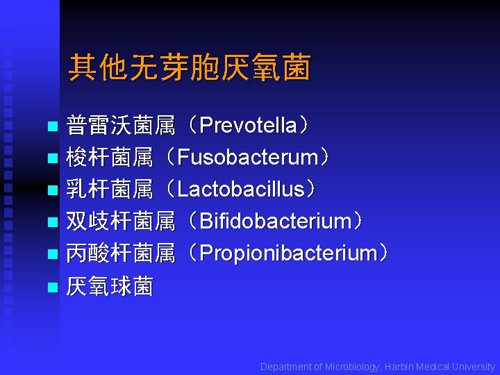 其他无芽胞厌氧菌 普雷沃菌属（Prevotella） n 梭杆菌属（Fusobacterum） n 乳杆菌属（Lactobacillus） n 双歧杆菌属（Bifidobacterium） n 丙酸杆菌属（Propionibacterium） n 厌氧球菌 n Department