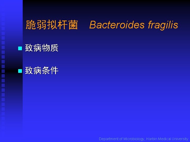 脆弱拟杆菌 Bacteroides fragilis n 致病物质 n 致病条件 Department of Microbiology, Harbin Medical University 