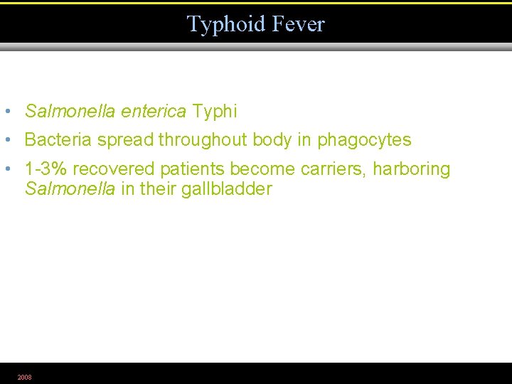 Typhoid Fever • Salmonella enterica Typhi • Bacteria spread throughout body in phagocytes •