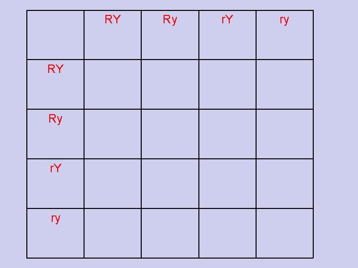 RY RY Ry r. Y ry RY RY Ry r. Y ry