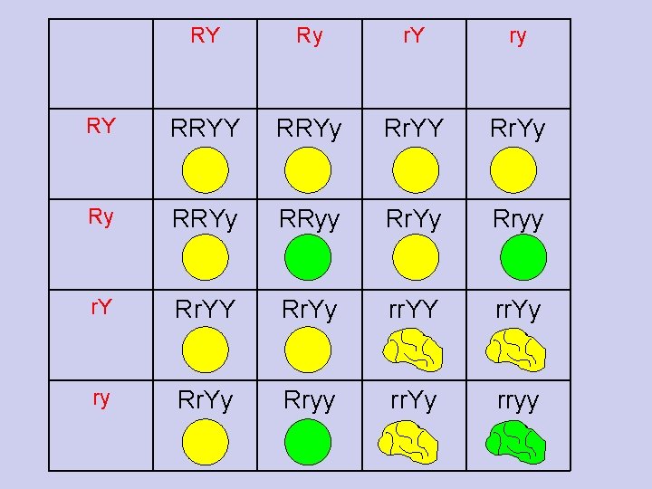 RY Ry r. Y ry RY RRYy Rr. YY Rr. Yy Ry RRYy RRyy RY Ry r. Y ry RY RRYy Rr. YY Rr. Yy Ry RRYy RRyy