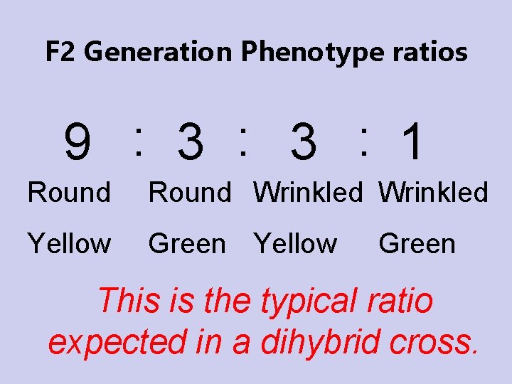 F 2 Generation Phenotype ratios 9 : 3 : 1 Round Wrinkled Yellow Green F 2 Generation Phenotype ratios 9 : 3 : 1 Round Wrinkled Yellow Green