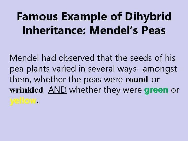 Famous Example of Dihybrid Inheritance: Mendel’s Peas Mendel had observed that the seeds of Famous Example of Dihybrid Inheritance: Mendel’s Peas Mendel had observed that the seeds of