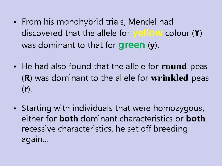 • From his monohybrid trials, Mendel had discovered that the allele for yellow • From his monohybrid trials, Mendel had discovered that the allele for yellow