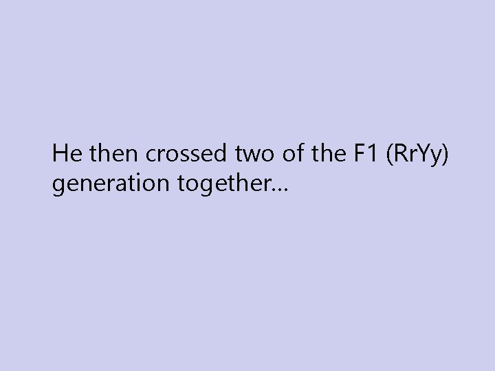 He then crossed two of the F 1 (Rr. Yy) generation together… He then crossed two of the F 1 (Rr. Yy) generation together…