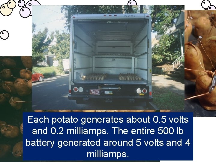 Each potato generates about 0. 5 volts and 0. 2 milliamps. The entire 500