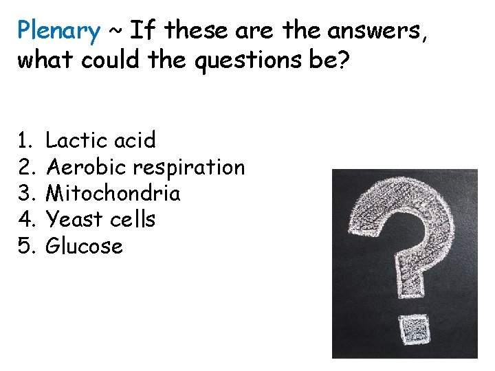 Plenary ~ If these are the answers, what could the questions be? 1. 2.