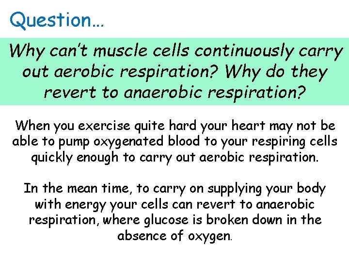 Question… Why can’t muscle cells continuously carry out aerobic respiration? Why do they revert