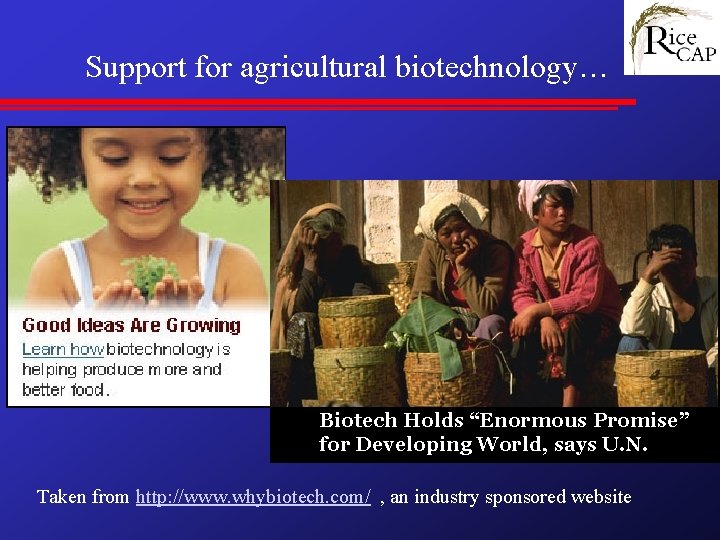 Support for agricultural biotechnology… Biotech Holds “Enormous Promise” for Developing World, says U. N.