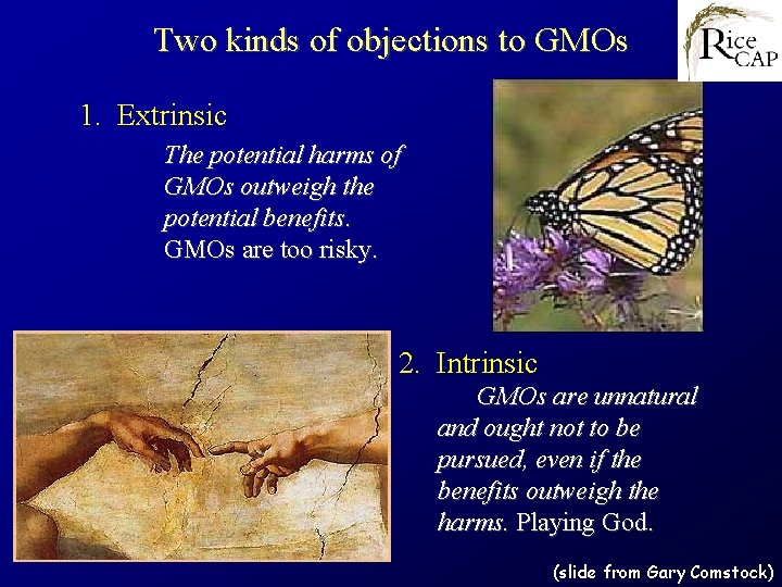 Two kinds of objections to GMOs 1. Extrinsic The potential harms of GMOs outweigh
