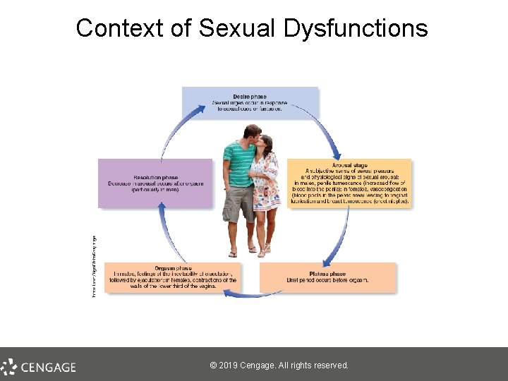 Context of Sexual Dysfunctions © 2019 Cengage. All rights reserved. 