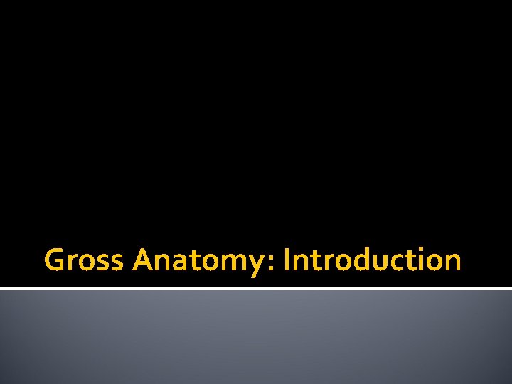 Gross Anatomy: Introduction 