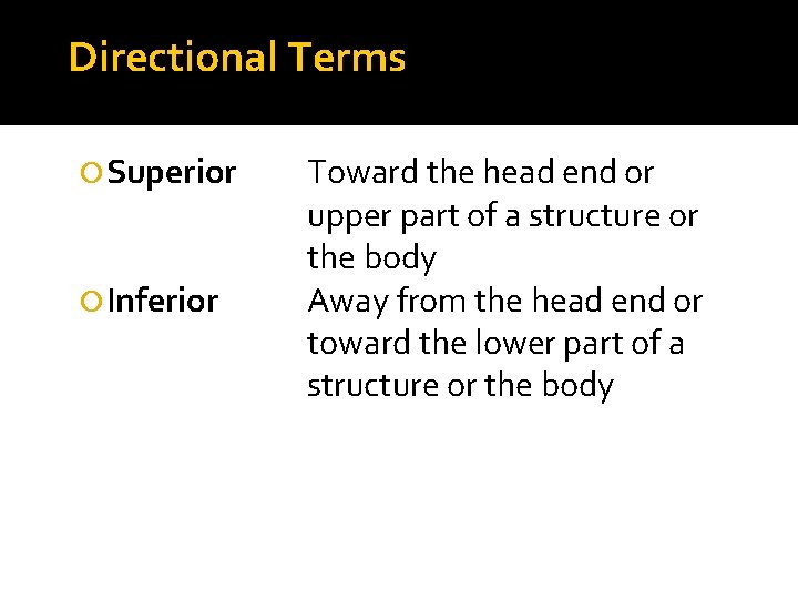 Directional Terms Superior Inferior Toward the head end or upper part of a structure