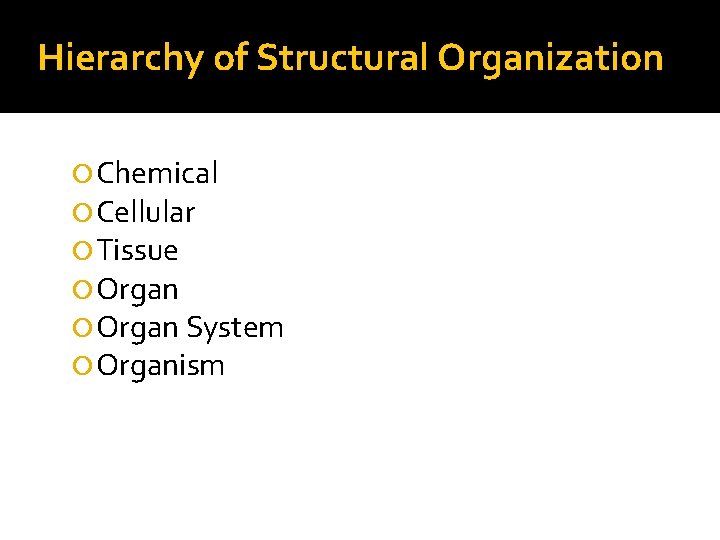 Hierarchy of Structural Organization Chemical Cellular Tissue Organ System Organism 