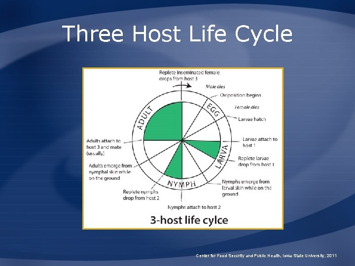 Three Host Life Cycle Center for Food Security and Public Health, Iowa State University,