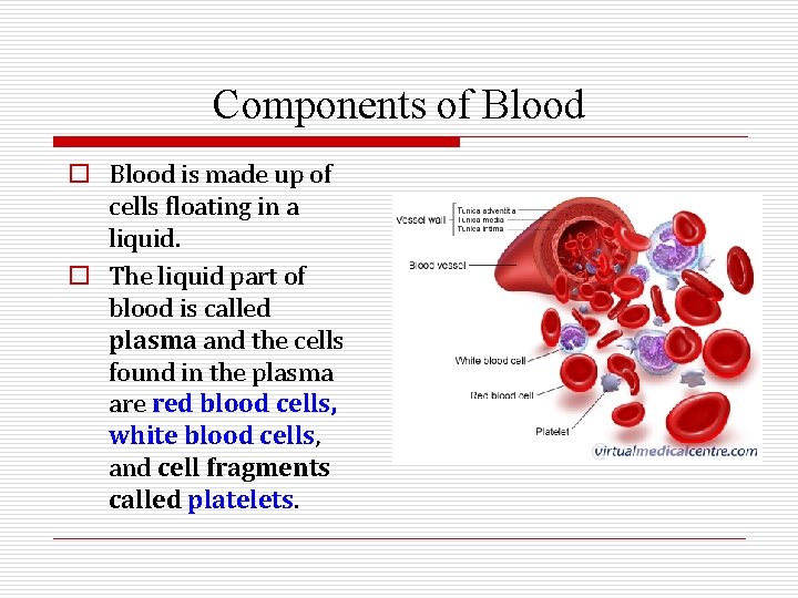 Components of Blood o Blood is made up of cells floating in a liquid.