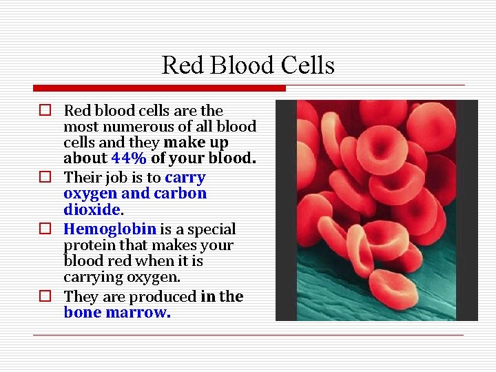 Red Blood Cells o Red blood cells are the most numerous of all blood