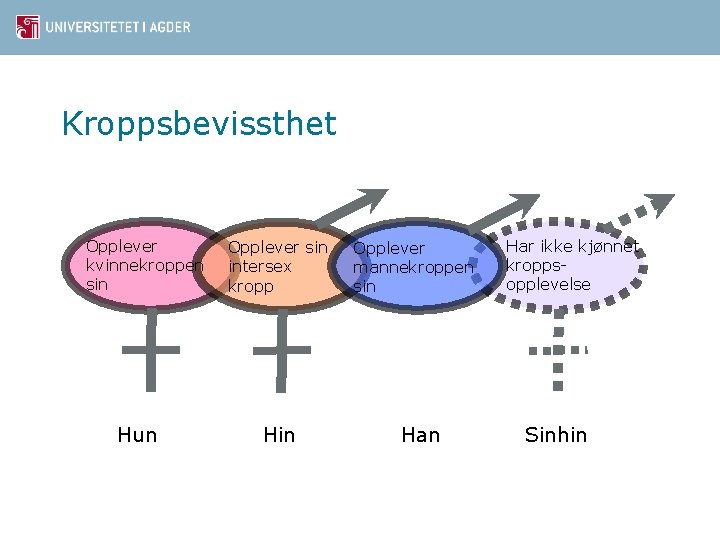 Kroppsbevissthet Opplever kvinnekroppen sin Hun Opplever sin intersex kropp Hin Opplever mannekroppen sin Har