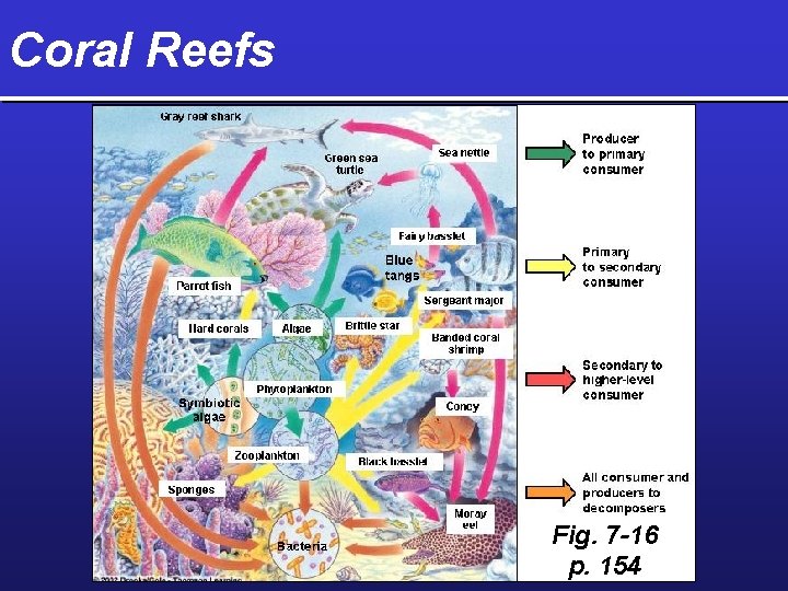 Coral Reefs Fig. 7 -16 p. 154 