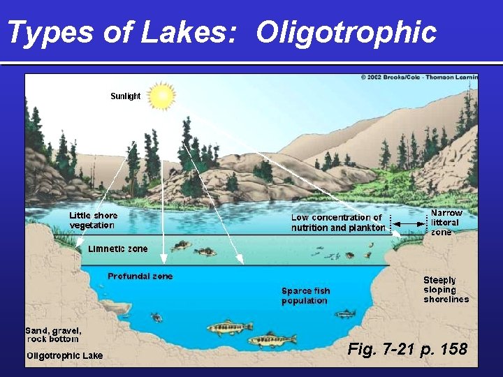 Types of Lakes: Oligotrophic Fig. 7 -21 p. 158 