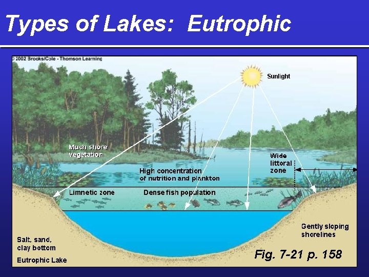 Types of Lakes: Eutrophic Fig. 7 -21 p. 158 