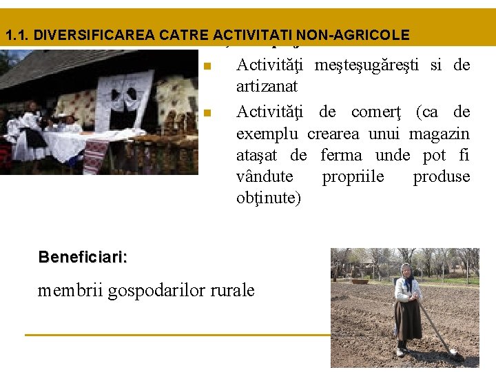 1. 1. DIVERSIFICAREA CATREAcţiuni ACTIVITATI NON-AGRICOLE sprijinite: n n Activităţi meşteşugăreşti si de artizanat