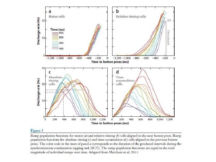 Neural Basis of the Perception and Estimation of