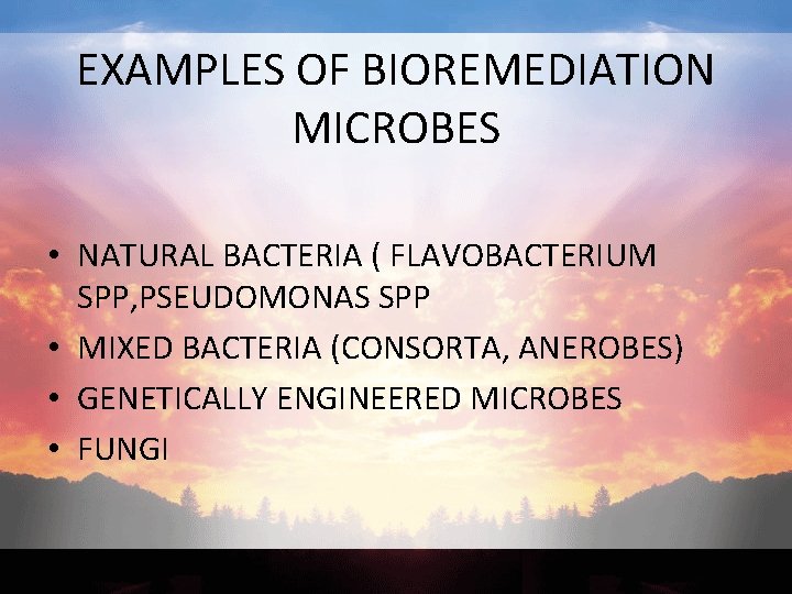 EXAMPLES OF BIOREMEDIATION MICROBES • NATURAL BACTERIA ( FLAVOBACTERIUM SPP, PSEUDOMONAS SPP • MIXED
