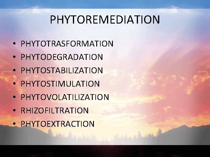 PHYTOREMEDIATION • • PHYTOTRASFORMATION PHYTODEGRADATION PHYTOSTABILIZATION PHYTOSTIMULATION PHYTOVOLATILIZATION RHIZOFILTRATION PHYTOEXTRACTION 