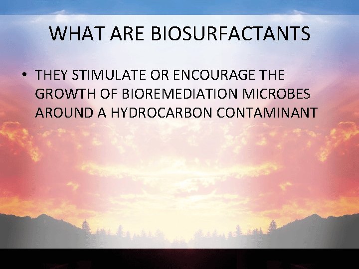 WHAT ARE BIOSURFACTANTS • THEY STIMULATE OR ENCOURAGE THE GROWTH OF BIOREMEDIATION MICROBES AROUND