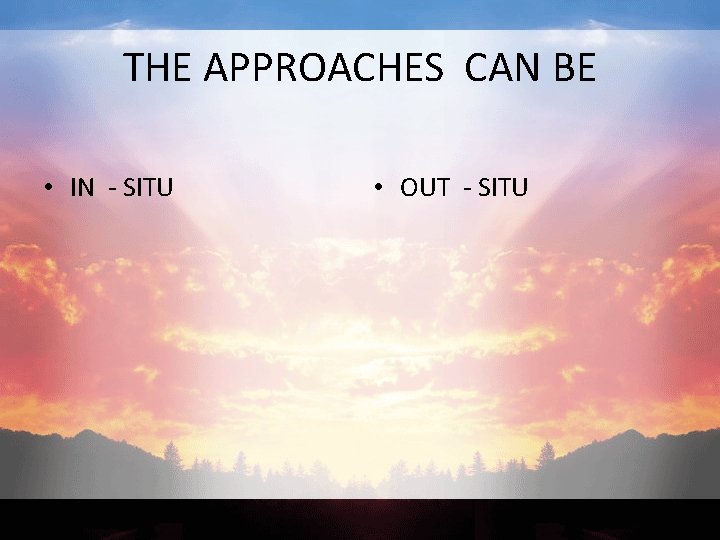 THE APPROACHES CAN BE • IN - SITU • OUT - SITU 